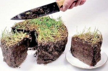 Преобразование земельного участка
